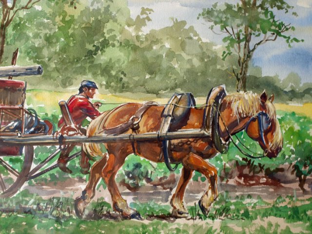 Wijnboer Dordogne Frankrijk